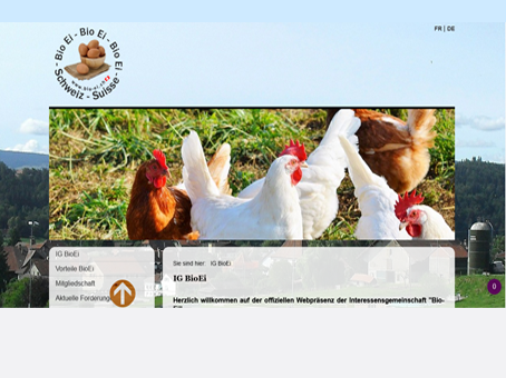 webseite erstellen